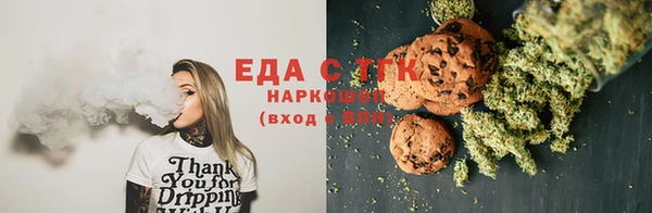 индика Покачи