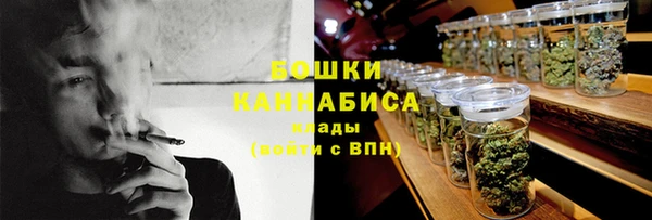 индика Покачи