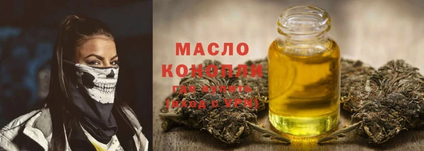 индика Покачи