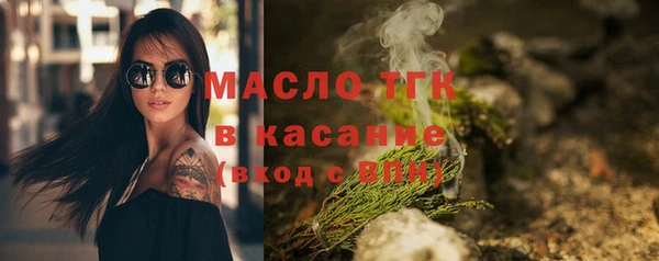 индика Покачи