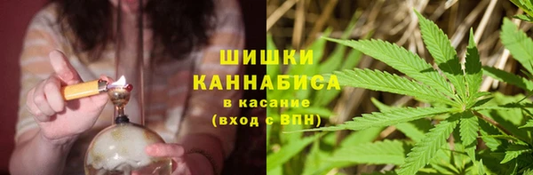 ПСИЛОЦИБИНОВЫЕ ГРИБЫ Пролетарск