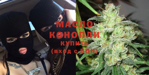 индика Покачи