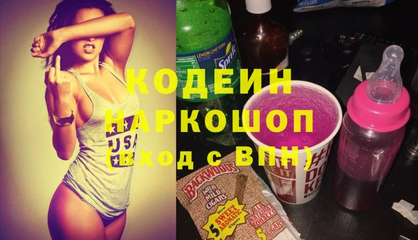 индика Покачи
