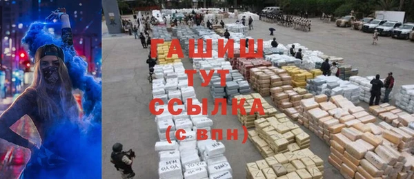 индика Покачи