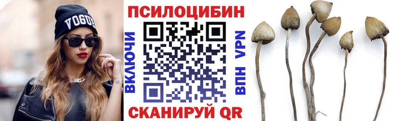 Галлюциногенные грибы MAGIC MUSHROOMS Купить Электроугли